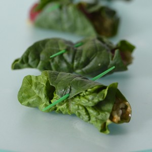 A Vegan Treat: Nutty Spinach Leaf Rolls with Freekeh & Raspberries
