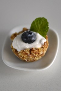vegan mini dessert with blueberries