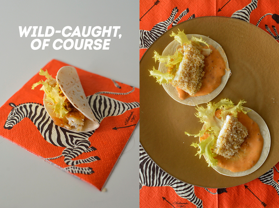 Fish Tacos with Style: Macadamia Crusted Halibut with Sweet Sour Mayo Sauce
