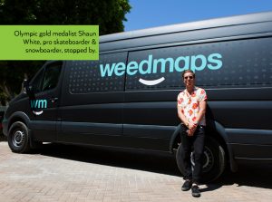 HOBNOBMAG Weedmaps Marijuana Oasis by Coachella