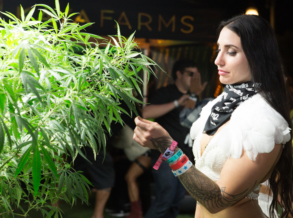 HOBNOBMAG Weedmaps Marijuana Oasis by Coachella