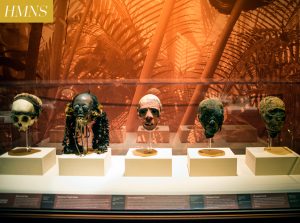 HOBNOBMAG Scenic Tour of Houston: Parks and Museums