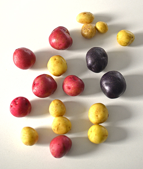 HOBNOBMAG baby potatoes tricolor